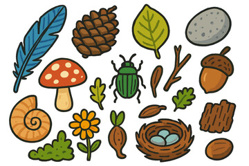 Forest Floor Treasures. Colorful Hand-drawn doodle Children illustration Forest Floor Treasures feather, pinecone, leaf, stone, mushroom, acorn, shell, flower,