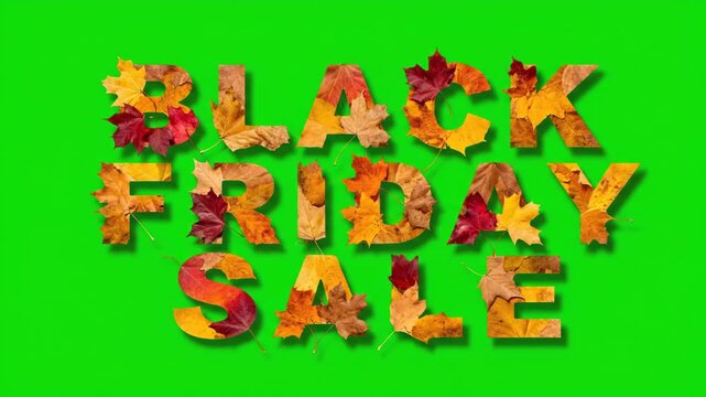 Black Friday Sale Typography with Autumn Leaves on Green Background