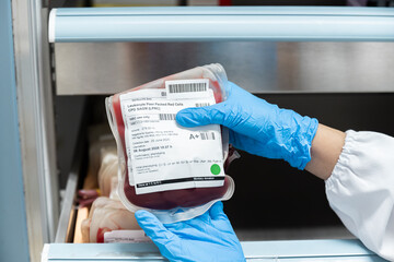Close up scientist hand wear blue gloves holding red blood bag group A in storage refrigerator at blood bank unit laboratory.Blood bags received from blood donations used in patient.Save life medical 
