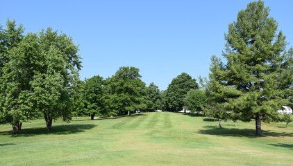 Looking down a tree lined golf course fairway towards the putting green.