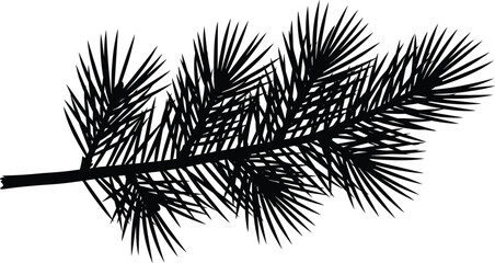 Black pine branch silhouette with sharp needles, evergreen tree element, Christmas decoration, winter forest nature, vector art, ecology illustration.