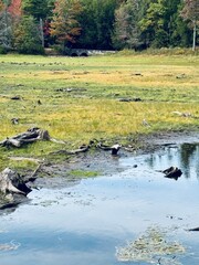 Breathtaking mountain peak and colorful autumn foliage view. North South Lake Campground in the Catskill Mountains. Late summer early fall. Clear blue sky reflects on low water level due to drought.  