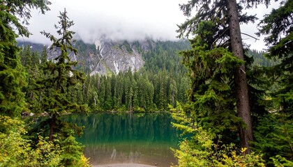 Misty mountain lake framed by evergreen trees