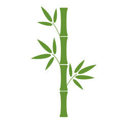Simple graphic illustration of a bamboo stalk with leaves.