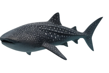 Obraz premium Realistic Whale Shark Isolated Transparent Background, Giant Ocean Fish Photorealistic Illustration