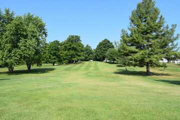 Obraz premium Looking down a tree lined golf course fairway towards the putting green.
