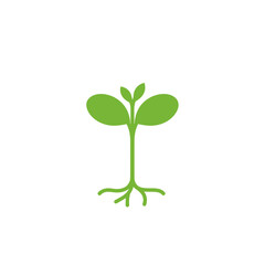 Obraz premium A simple green seedling with visible roots and two emerging leaves, symbolizing growth and new beginnings against a white background.