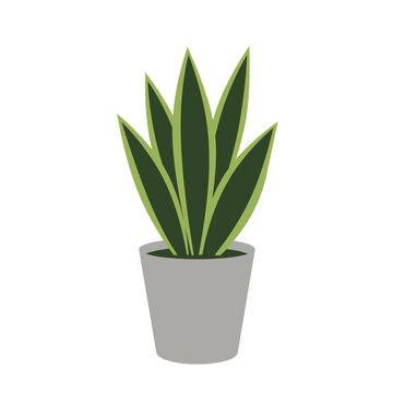 A stylized illustration of a potted snake plant with tall, upright green leaves in a simple gray planter against a white background.