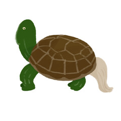 亀の手描きカラーイラスト