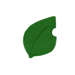 一枚の葉っぱの手描きカラーイラスト