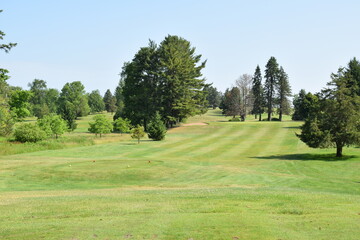 Looking down a tree lined golf course fairway towards the putting green.