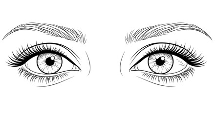 Detailed line art illustration of a pair of human eyes with eyelashes and eyebrows.