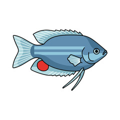 gourami fish illustration design