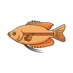 gourami fish illustration design