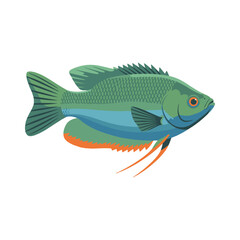gourami fish illustration design