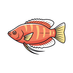 gourami fish illustration design