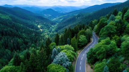 Aerial View of Winding Road Through Lush Green Forest Mountain Valley Under Blue Sky at Daytime Landscape