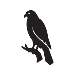 Fototapeta premium Majestic hawk silhouette perched on a branch representing strength nature and wildlife conservation ideal for logos designs and educational materials focused on avian species