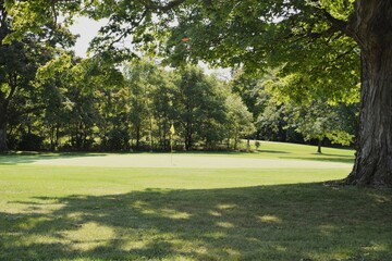 Golf course putting green and partial fairway view showing the goal of sinking a put in the location indicated with the yellow flag and pole.
