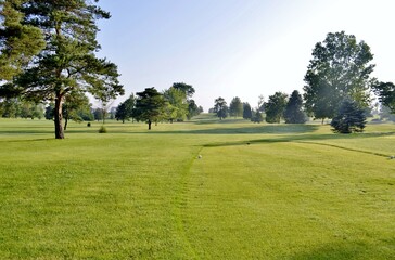 Manicured golf course fairway on a bright and sunny summer afternoon.