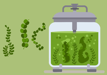 A stylized illustration depicts a bioreactor cultivating algae, showcasing sustainable technology. Clean lines and a modern aesthetic highlight eco-friendly innovation.