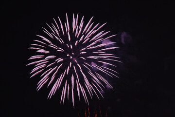 Fototapeta premium 東海まつり花火大会 花火 Tokai Festival firework