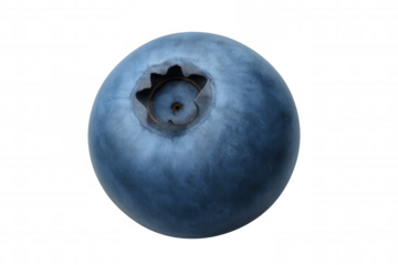 Blueberry fruit presenting freshness and natural health, isolated single blue berry on transparent background