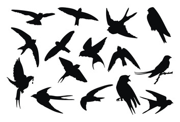 A flock of birds flying, swallows Flying Silhouette, a flock of birds in the sky on a white background