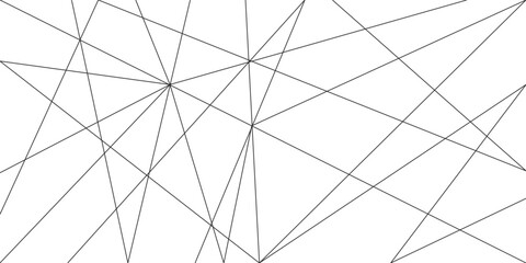 Obraz premium abstract black lines with white background.Creative and geometric shape with white luxury pattern and paper texture design in illustration with white line background.
