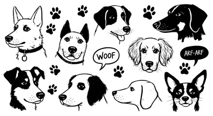 Charming collection of diverse dog portraits in a delightful sketch style, perfect for pet lovers and creative projects.