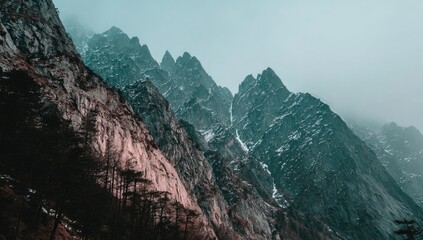 Misty mountain peaks, rugged cliffs, and dense forest meet in a dramatic landscape