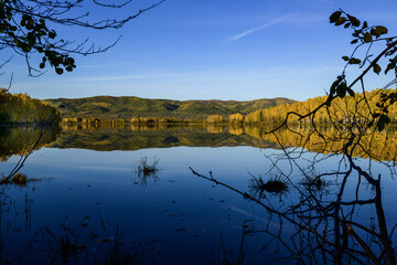 Autumn forest reflected in the water of a lake