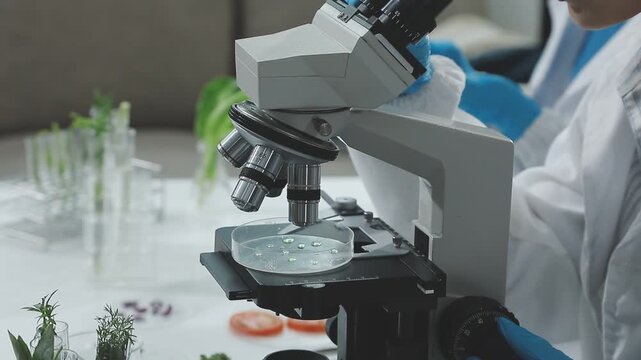 Scientist used biotechnology, ai technology, and dna plant in tube of scientific lab for medical research and Plant genetics development in Food industry. science chemistry in laboratory