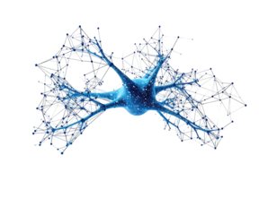 Detailed illustration of a neuron, highlighting its complex network of branches