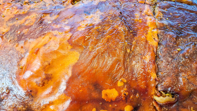 Typical lechona at a Colombian market - Lechon, a typical dish from Tolima and Huila