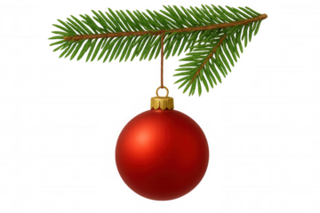Red christmas bauble hanging from pine branch on transparent background for festive holiday decoration design