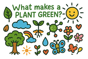 Naklejka premium Plant Growth Doodles. Colorful Hand-drawn doodle Children illustration What Makes a Plant Green [leaf, sprout, chlorophyll