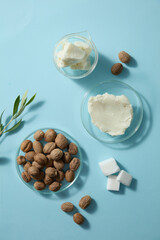 Creamy shea butter, cubes and raw shea nuts captured in top view on pastel blue surface. Leaves and capsules complete this natural skincare theme layout.
