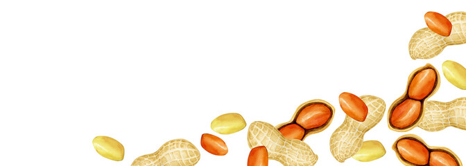 ピーナッツ 落花生　野菜　背景 フレーム 横長　水彩 イラスト