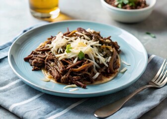 Tasty shredded beef on a plate with saut?ed onions and melted cheese on top