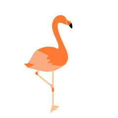 可愛いフラミンゴのイラスト