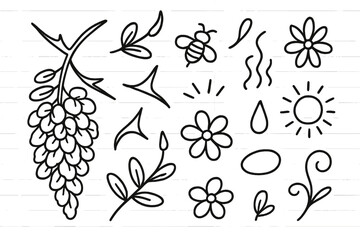 Acacia Flower Doodle. Hand-drawn doodle illustration Acacia flowers and thorns flower cluster, petal detail, thorn curve, bud, branch tip, insect icon, line
