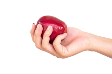 fresh red apple in hand isolated on white background