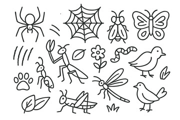 Insect Predators and Prey. Hand-drawn doodle illustration insect predators and prey spider, web, fly, butterfly, mantis, beetle, ant, dragonfly, grasshopper,