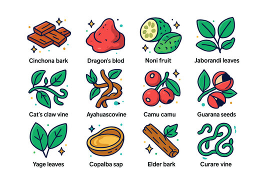 Colorful Rainforest Plant Icons. Colorful isometric vector icons set of medicinal rainforest plants: cinchona bark, dragon?s blood resin, noni fruit, jaborandi