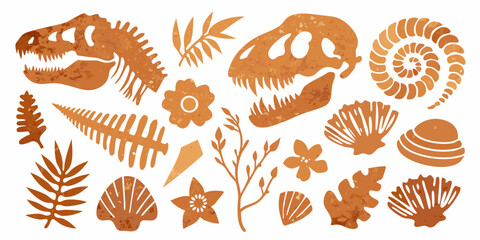 Collection of orange dinosaur skeletons fossils shells ferns and flowers on a white background
