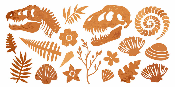 Collection of orange dinosaur skeletons fossils shells ferns and flowers on a white background