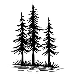 Obraz premium Pine Trees Illustration