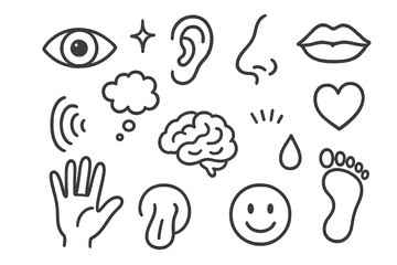 Naklejka premium Human Senses Doodle. Hand-drawn doodle illustration Human senses eye, ear, nose, mouth, tongue, hand, brain, heart, sound wave, smell cloud, taste droplet,