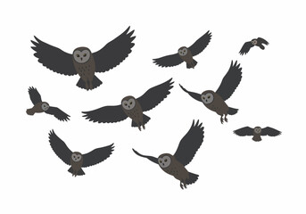 A group of nine stylized owls are shown in flight spread across a white background